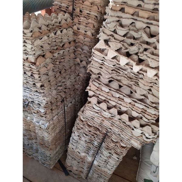 egg tray tempat telur bekas