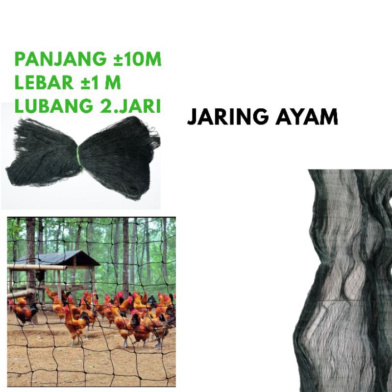 Jaring Ayam Jaring Pagar Ayam Jaring Pagar Tanaman Jaring Kandang Ayam Lubang 2 Jaring pagar