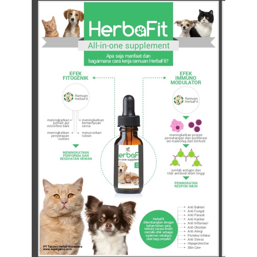 Herbafit Vitamin Imunitas Nafsu Makan Kucing Anjing Suplemen Herba Fit