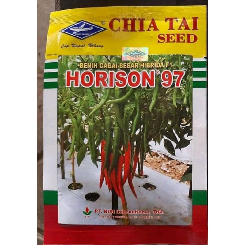 Benih bibit cabe besar horison 97 F1 10gram