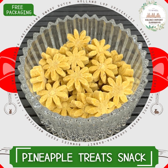 Jual SNACK BINTANG Treats Kelinci Guinea Pig - PINEAPPLE FLAVOUR ... - Guinea Pig Oatmeal Snack With Pineapples