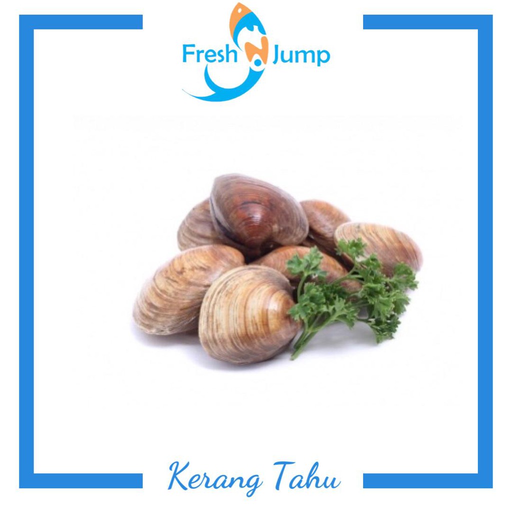 

Kerang Tahu