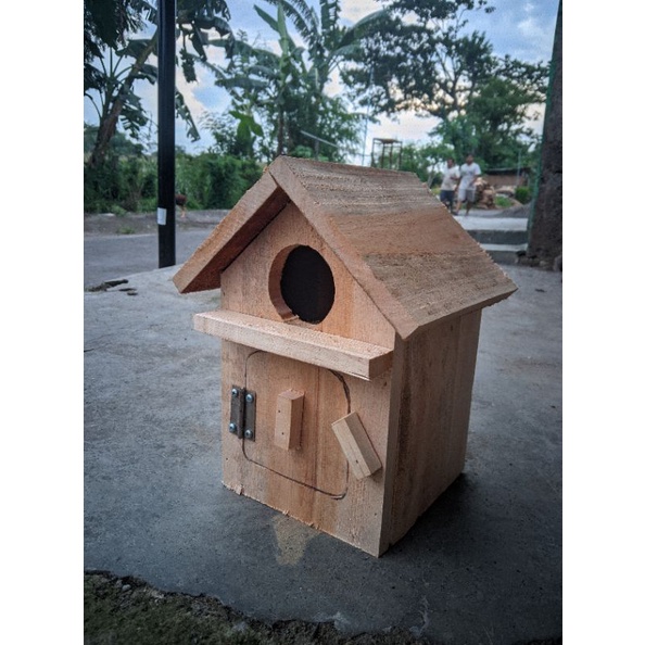 Glodok Burung Parkit Lovebird Glodok Rumah Parkit