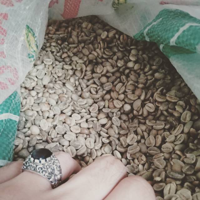 

Biji kopi Natural green bean natural