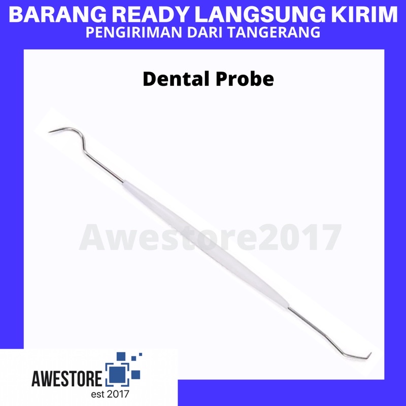 Alat Pembersih Karang Gigi Dental Probe Tartar Remover Plastik PP