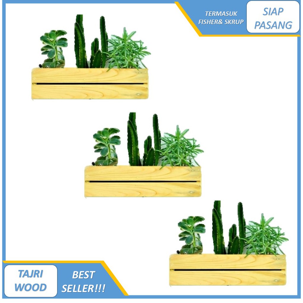Pot Kayu Tempat Bunga Kaktus Dekorasi Dinding Gantung / POT KAYU KAKTUS