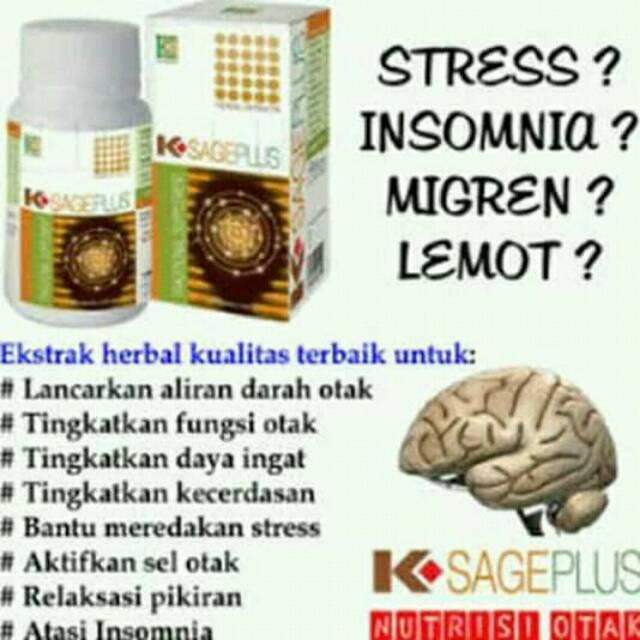 K-Sage Plus