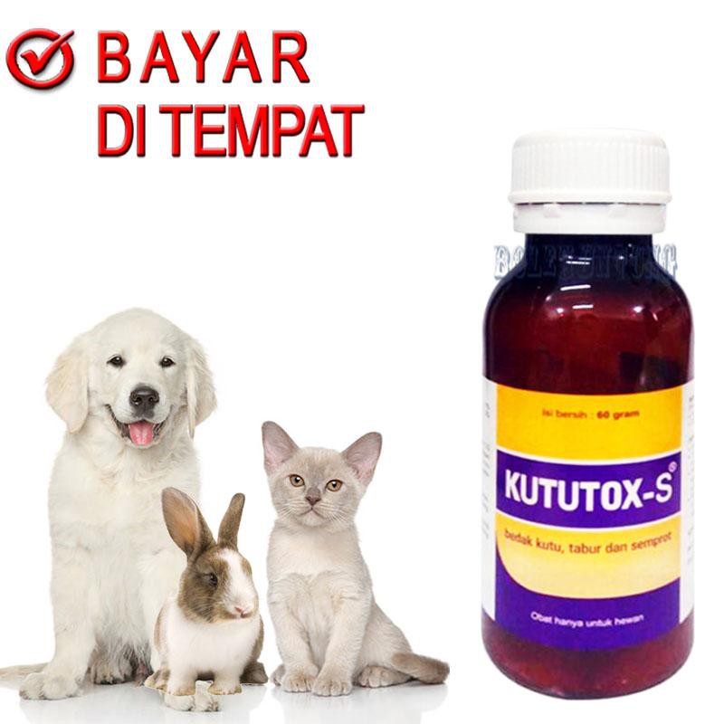 Bedak Kutu Ampuh Kucing KUTUTOX-S