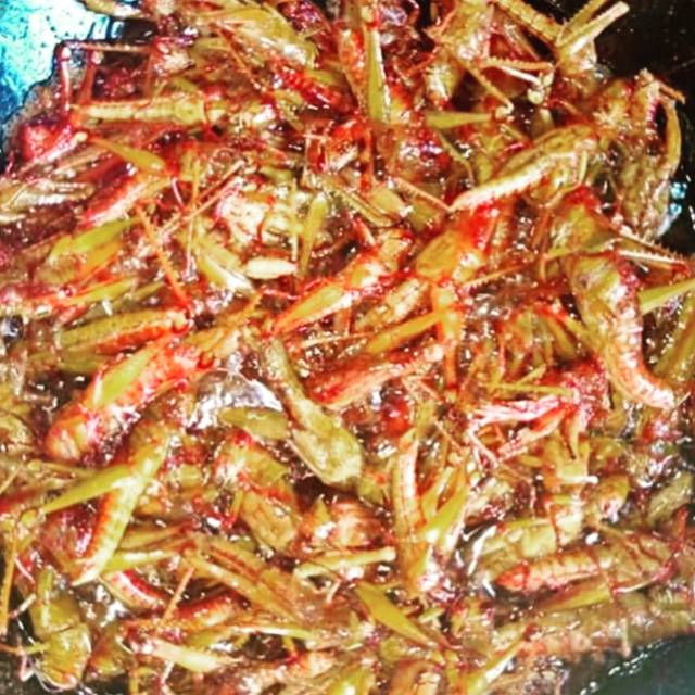 

Belalang jampang gurih pedas