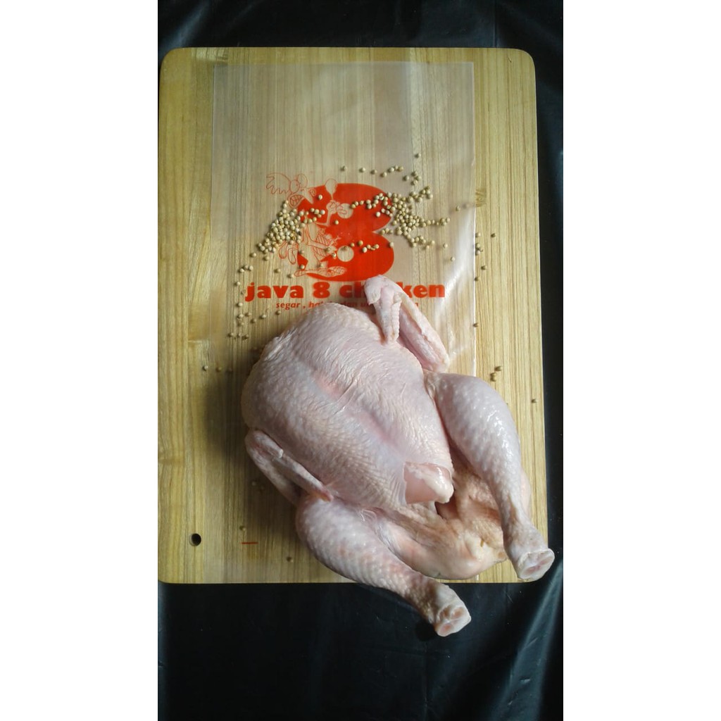 

Ayam Karkas ukuran 1.2 1.3 kg