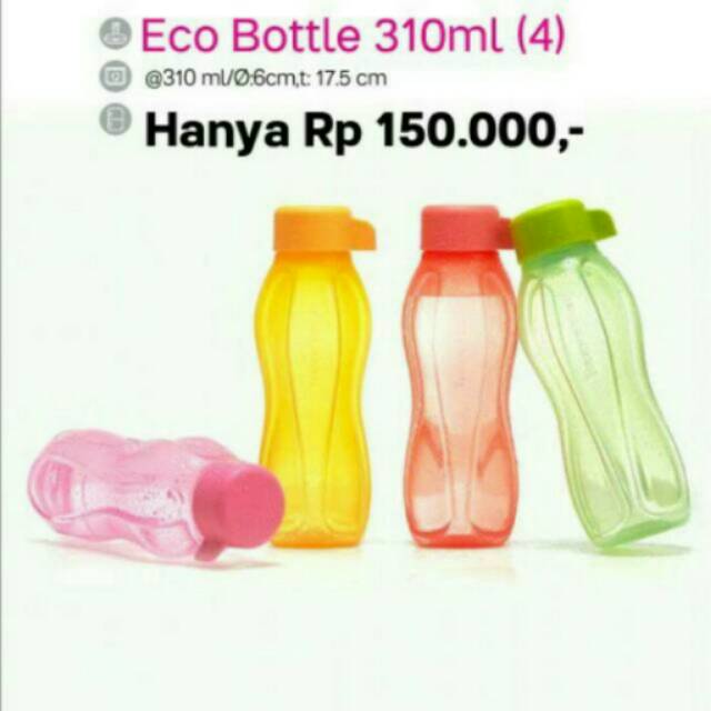 Eco bottle 310ml (4)