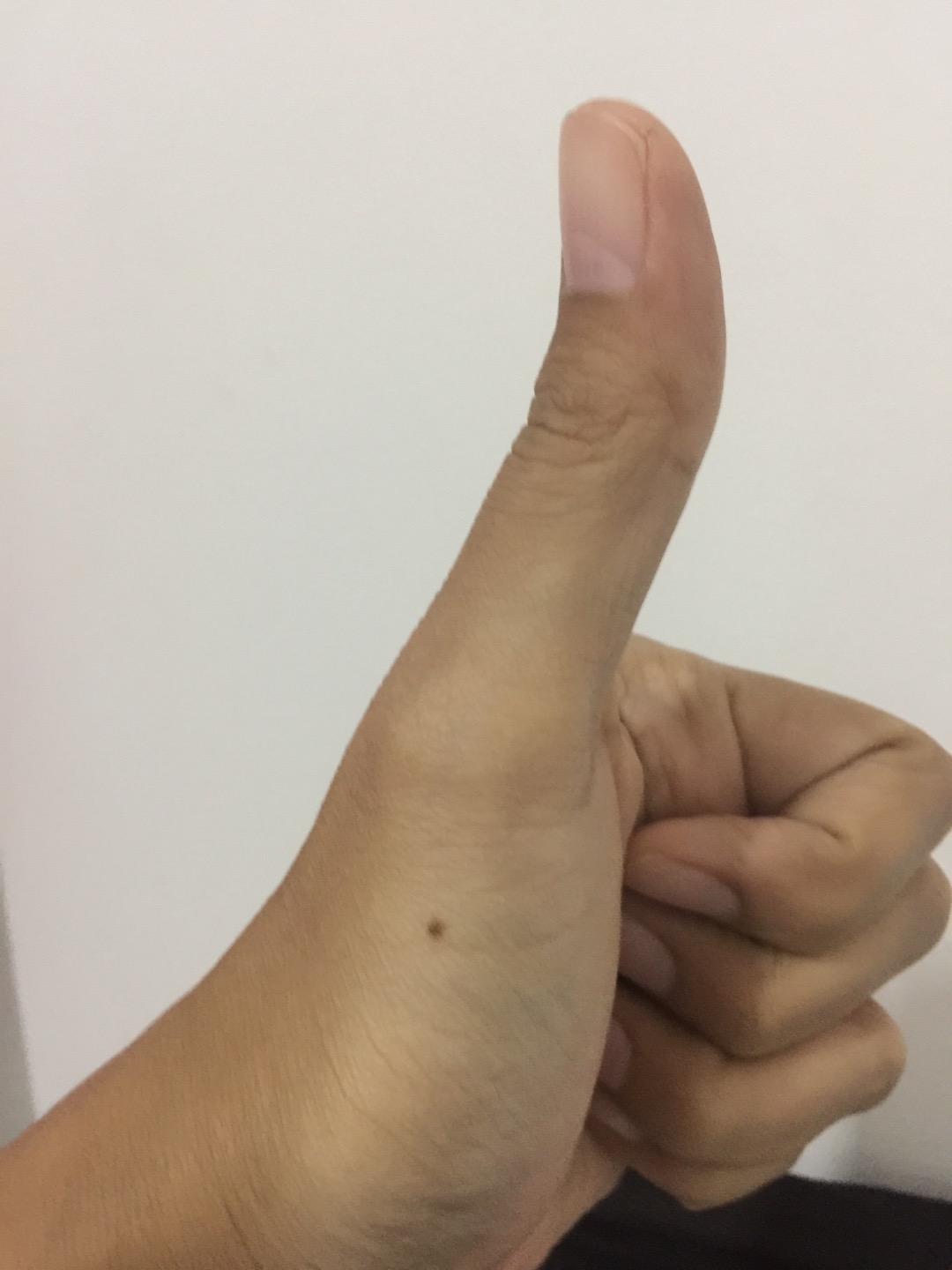 Window Casement 24 Inch Hd Friction Stay Engsel Casement 60 Cm Window Hinge Kusen Kesmen Heavy Duty