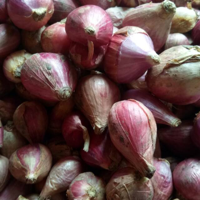 

Bawang merah lokal