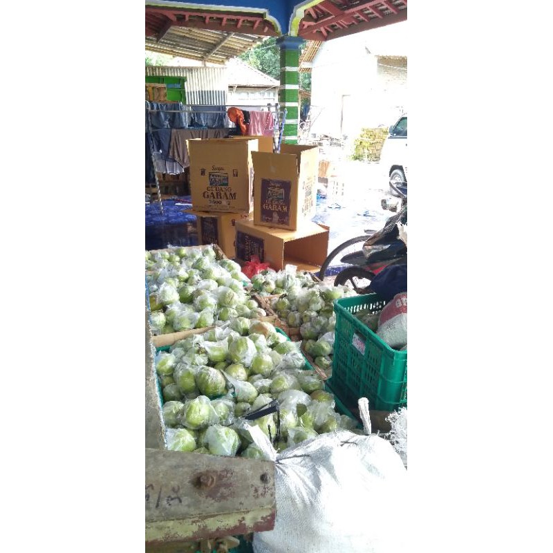 

jambu kristal