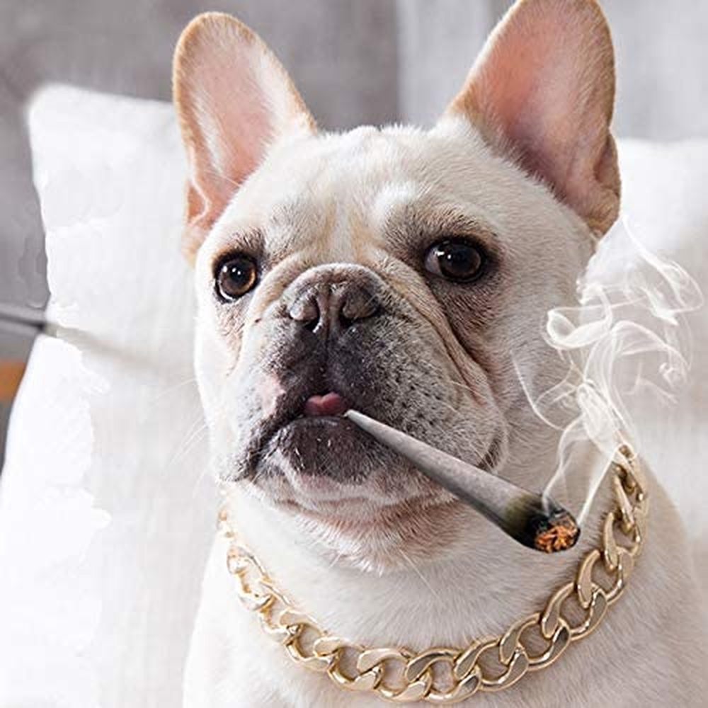 Fashionable And Cool Pet Adjustable Gold Chain