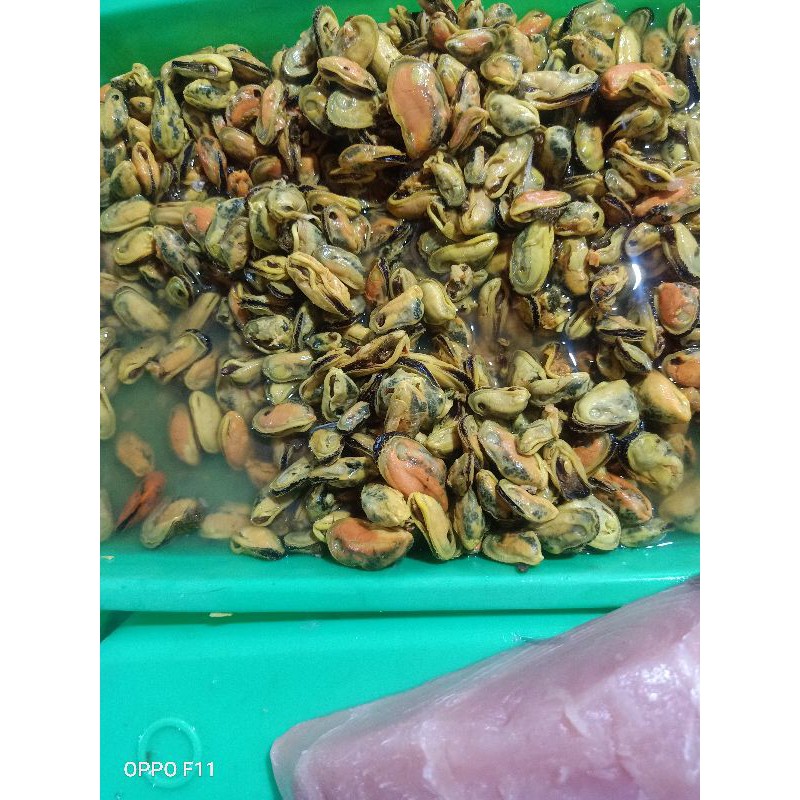 

Kerang Kupas 250gram