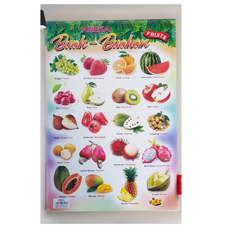 

Poster Aneka Buah-buah an