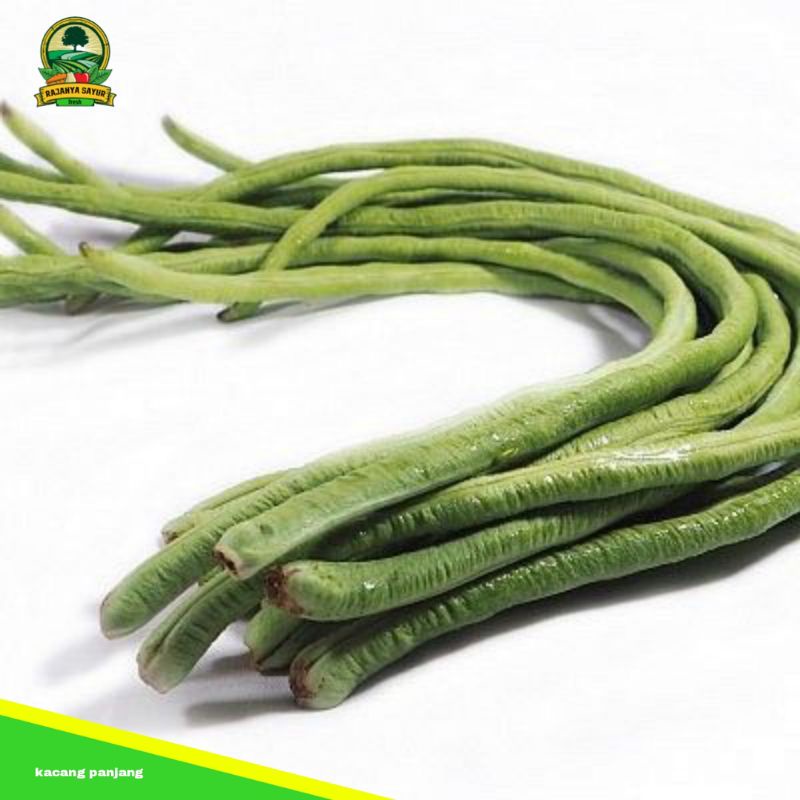 

kacang panjang 250g