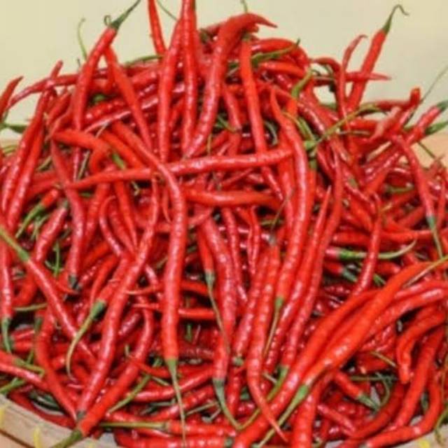 

Cabe merah keriting 250gr