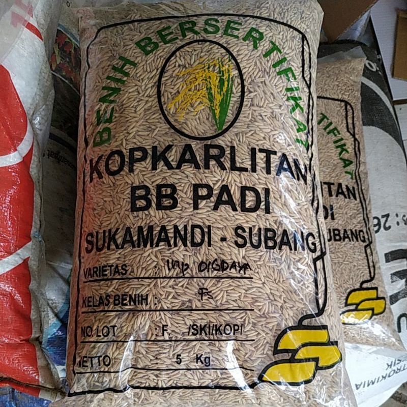 BENIH PADI INPARI DIGDAYA 5 kg yg lagi BOOMING stok terbatas