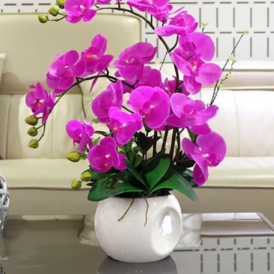 ✷ Bunga ANGGREK LATEX ARTIFICIAL / Orchid Import - UNGU / Anggrek Bulan / Dekorasi Rumah Shabby ►