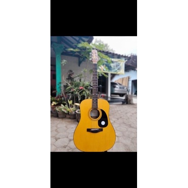 Segovia gitar akustik