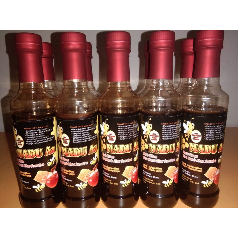 

Madu AA (madu murni hutan sumatera) netto 500 gr