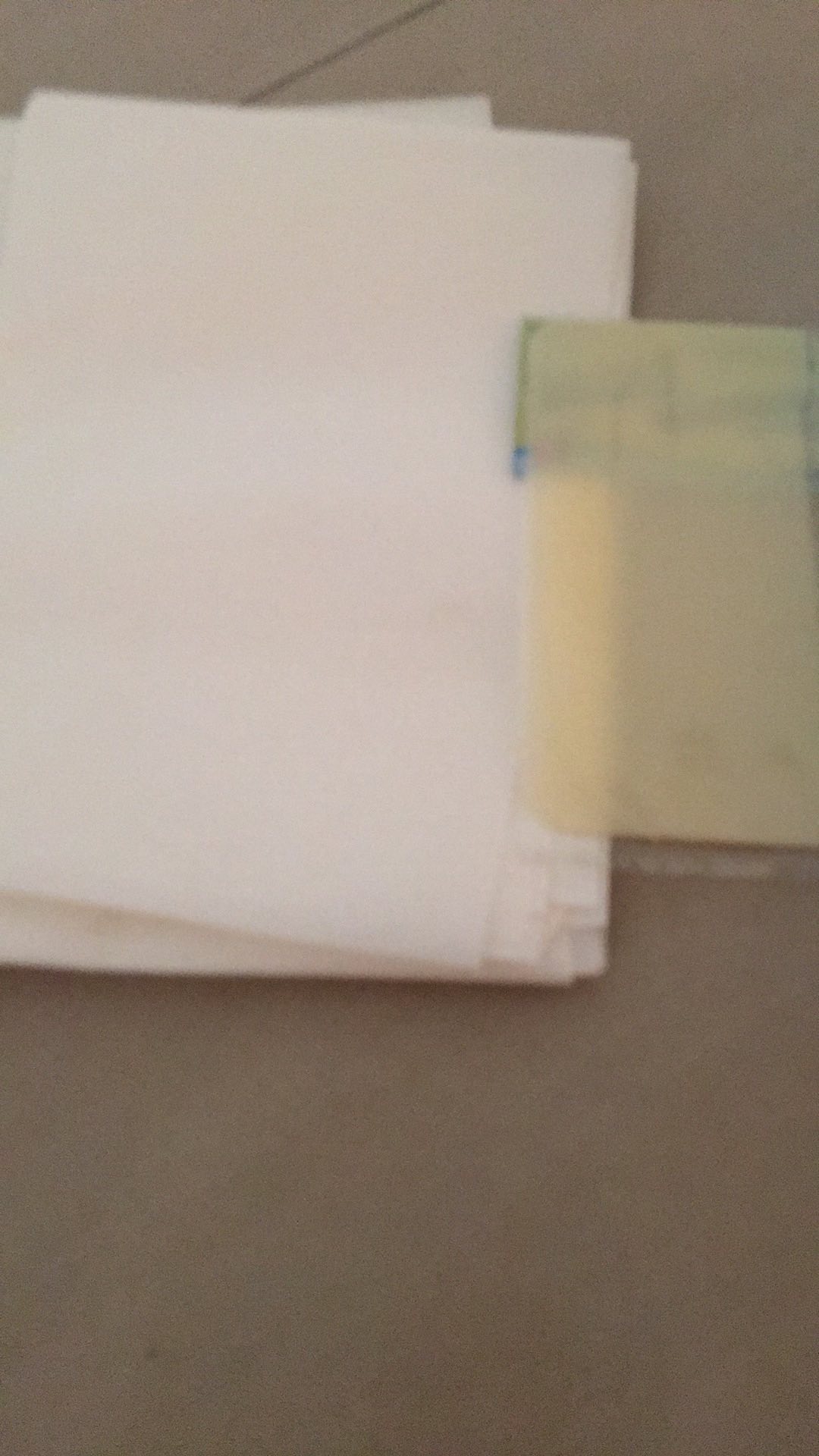 Screaper Malaysia Dough No.165