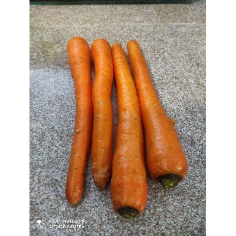 

wortel 500 gram