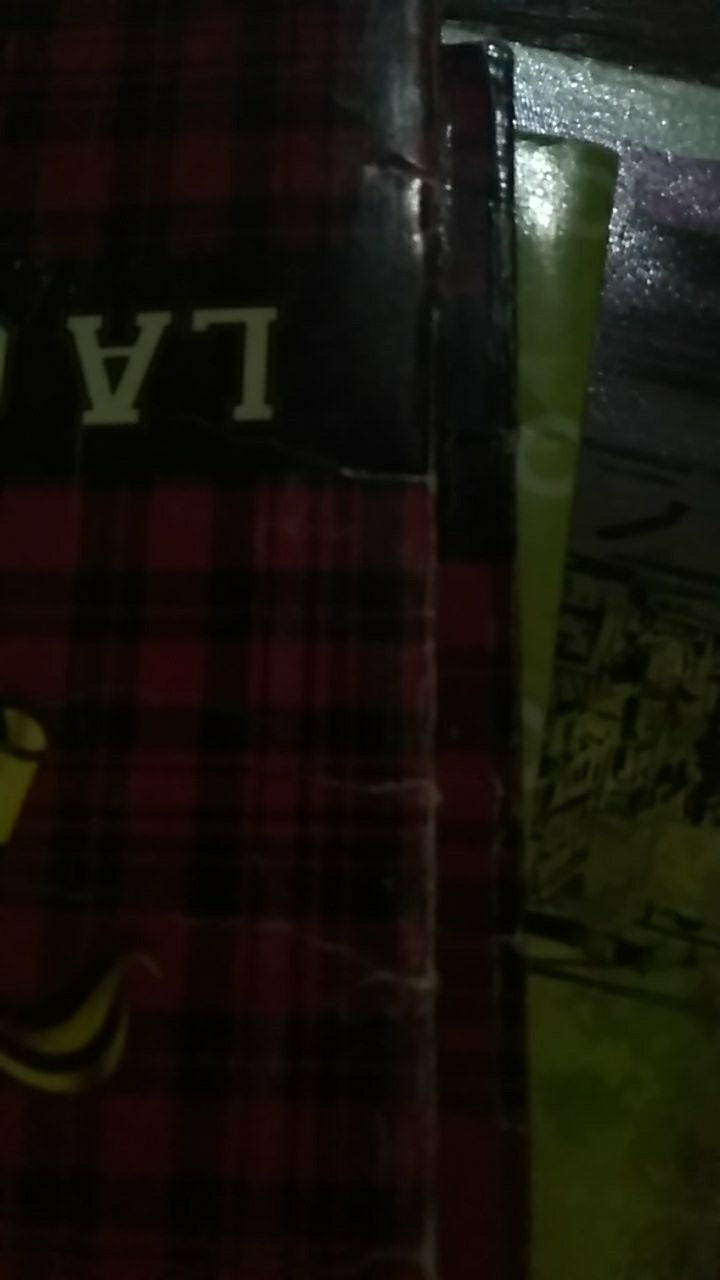 Sponge Mini House (isi 4bh)