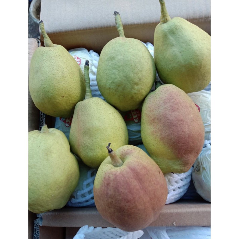Pear Xiang Li fresh