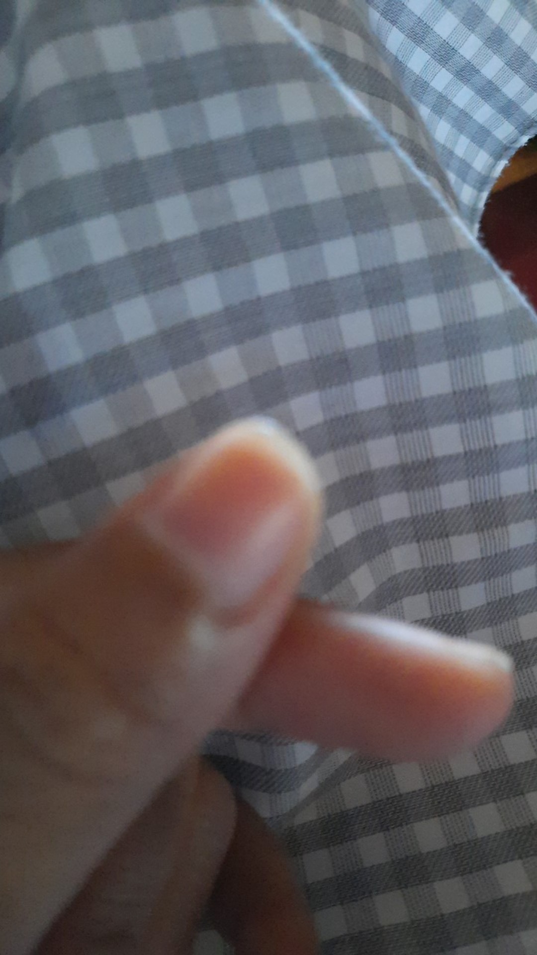 Sprei All New My Love B4 180x200 Tinggi 30 Motif Ayana Madagascar Daisy I- 180 King 4 Bantal T30 Sp