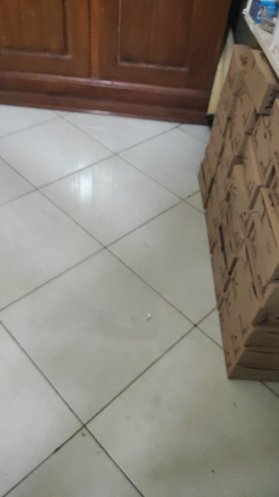 Kamper Swallow Refill 80g