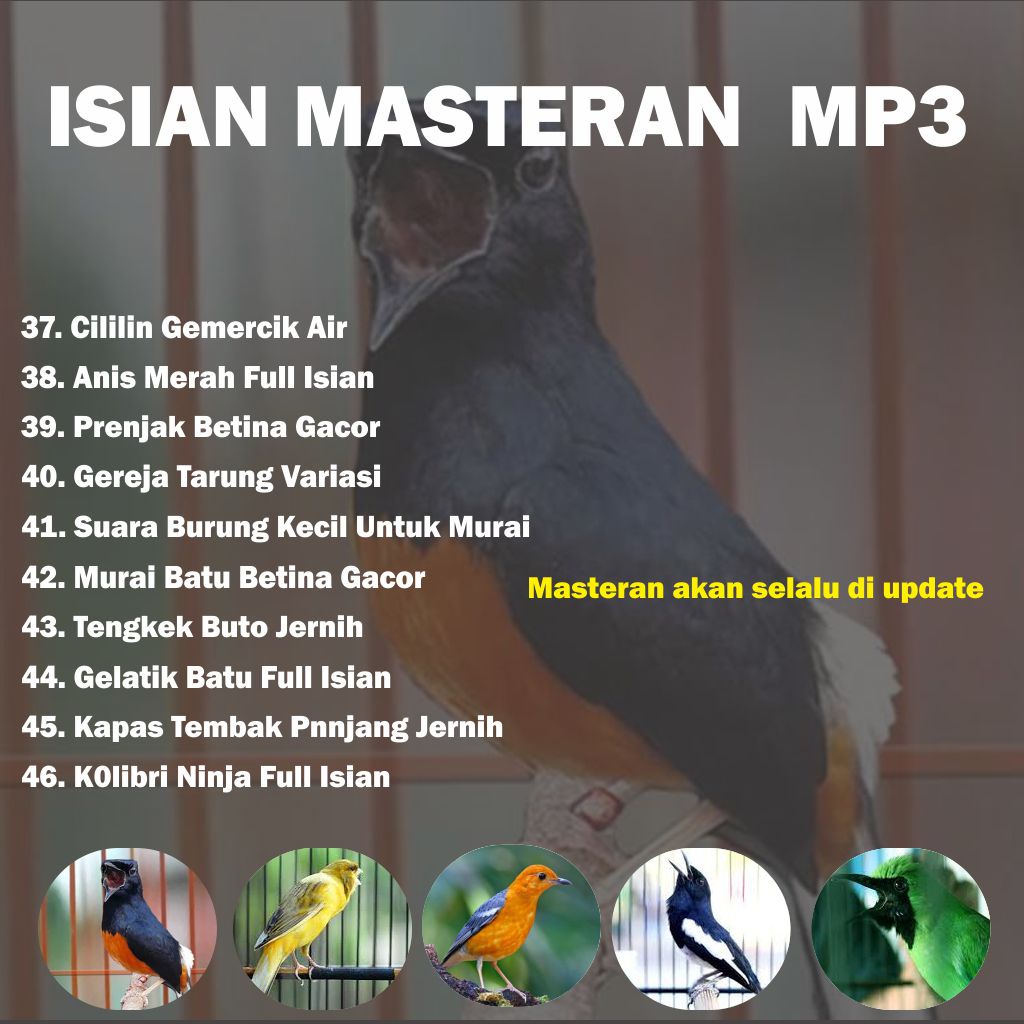 Jual Suara Isian Masteran Burung Gacor Flashdisk Indonesia|Shopee Indonesia