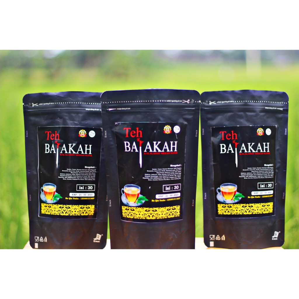 Minyak Urut Dayak ASLI KALIMANTAN + teh bajakh