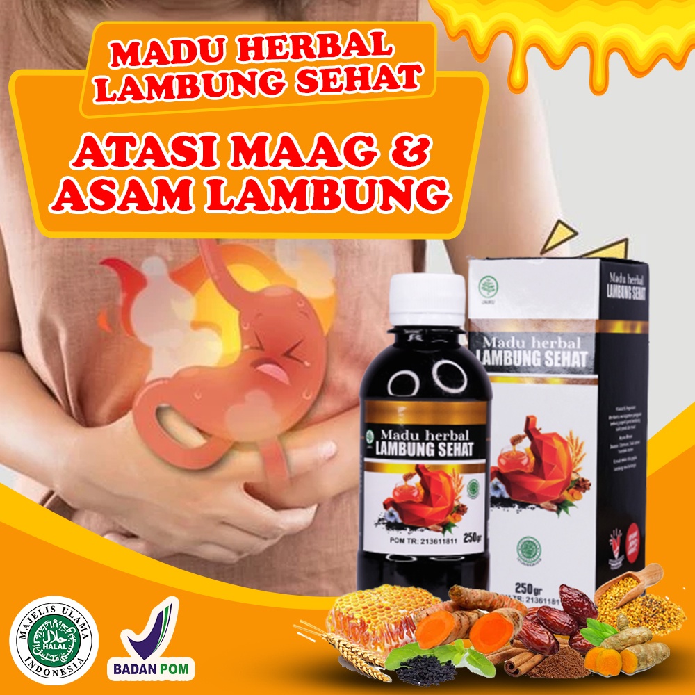 Obat herbal asam lambung perut begah - Madu original buat lambung - sirup asam lambung gerd - Madu H
