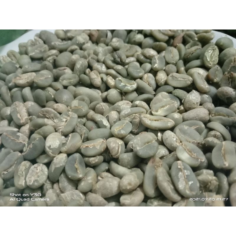 

grean Bean Arabika gayo