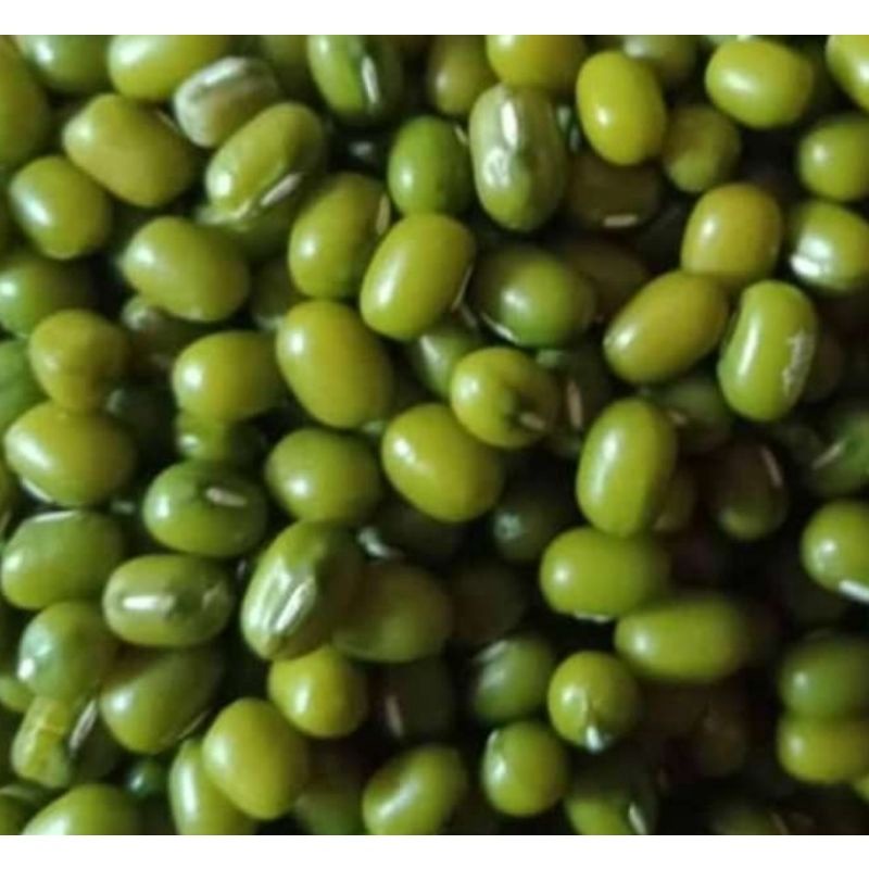 

Kacang hijau - 500 Gram