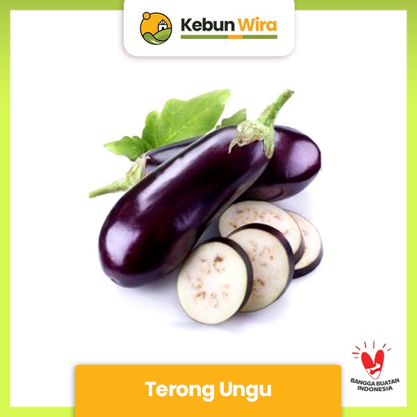 

Terong Ungu | Eggplant