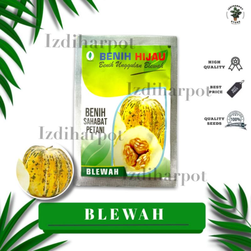 benih bibit buah blewah kemasan benih hijau - BENIH HIJAU BLEWAH