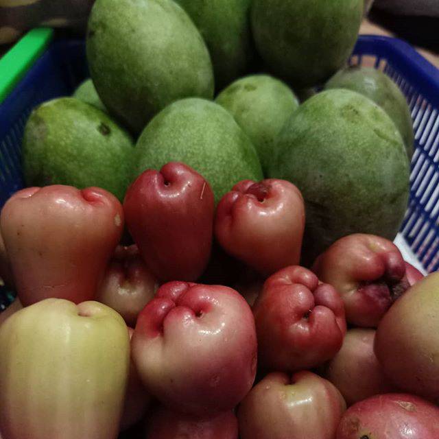 

Jambu Air, Mangga Manalagi