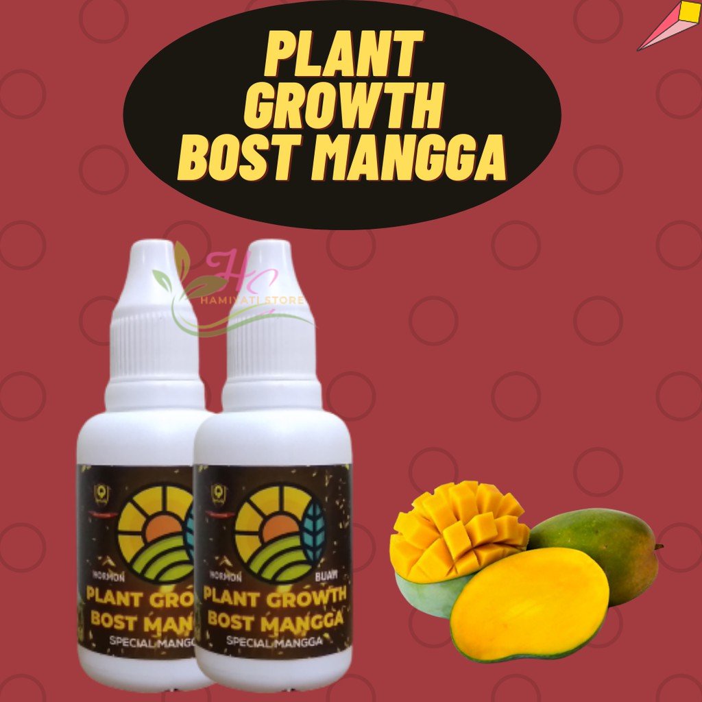Pupuk Perangsang Buah Mangga, BISA COD, Hormon Perangsang Buah Mangga, PLANT GROWTH BOST MANGGA
