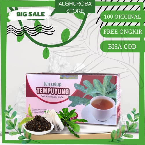 Teh Herbal Tempuyung Original Tazakka mengobati BATU GINJAL Melancarkan Buang Air Kecil