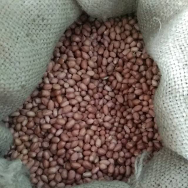 

Kacang Tanah Kulit/250 Gr (0952)