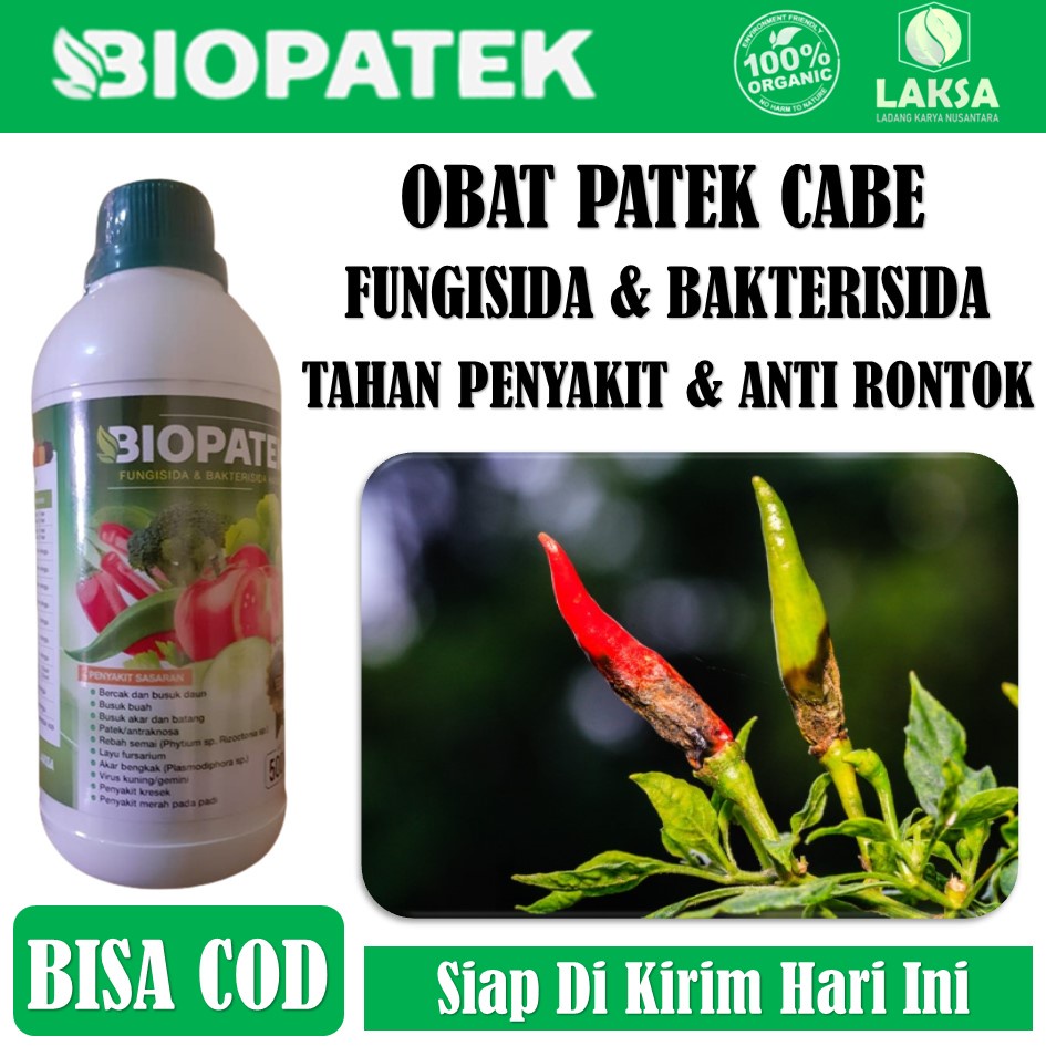 Fungisida BIOPATEK 500 ML Obat Patek Cabe - BIOPATEK Obat Semprot Pengendali PATEK Cabe Anti Rontok 