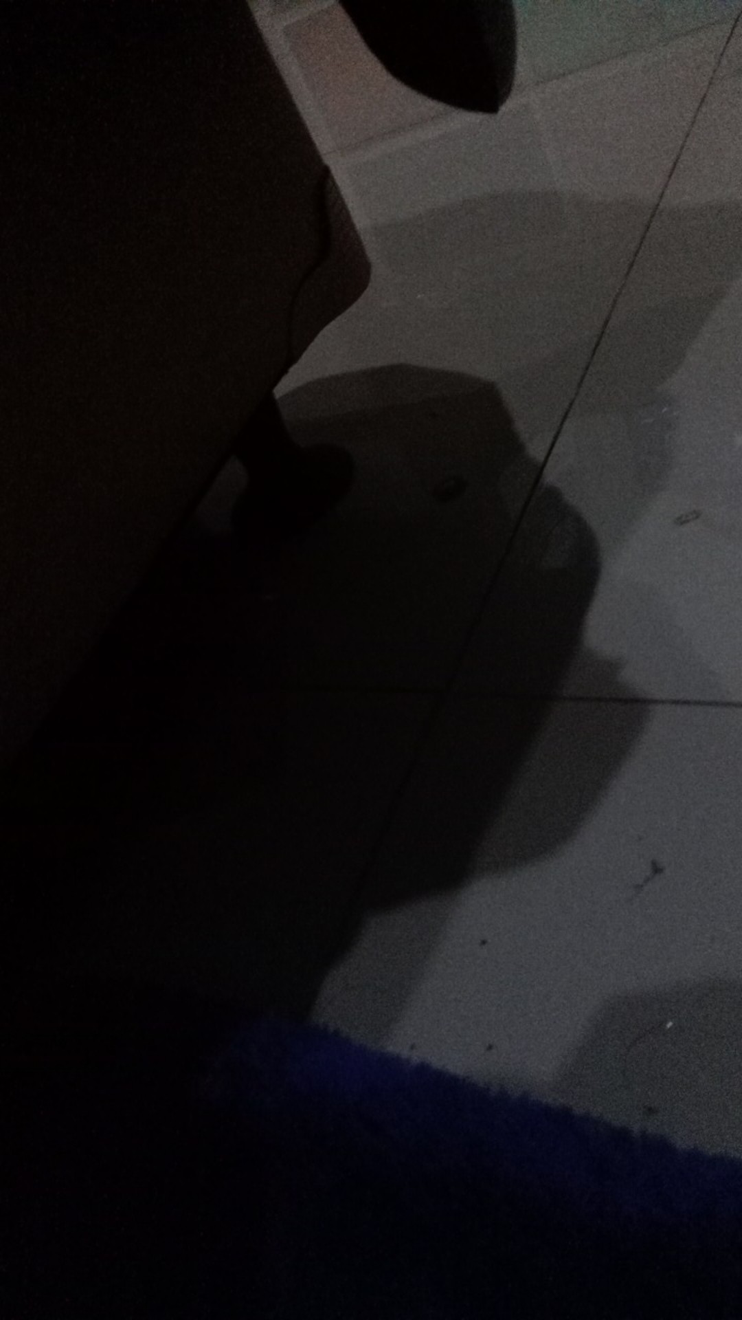 Kaki Springbed Divan Piala 10 Cm Kuat + Anti Pecah ( Grab/go Send/jne Cash Less)