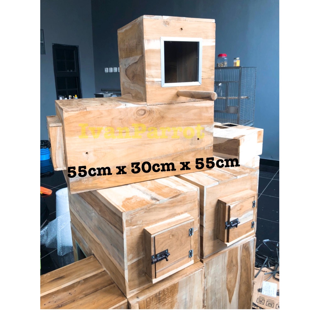 GLODOK KAYU BURUNG PARROT AFGREY BAYAN KAKATUA MEDIUM