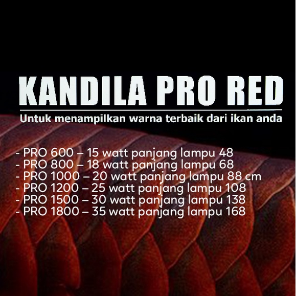 LAMPU LED VIEW KANDILA PRO RED AQUARIUM IKAN AROWANA / ARWANA / KOKI / DISCUS