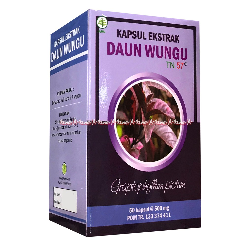 Kapsul Ekstrak Daun Wungu 50kapsul Obat Untuk Meringankan Ambien &amp; Wasir Ambeyen TN 57 Jamu