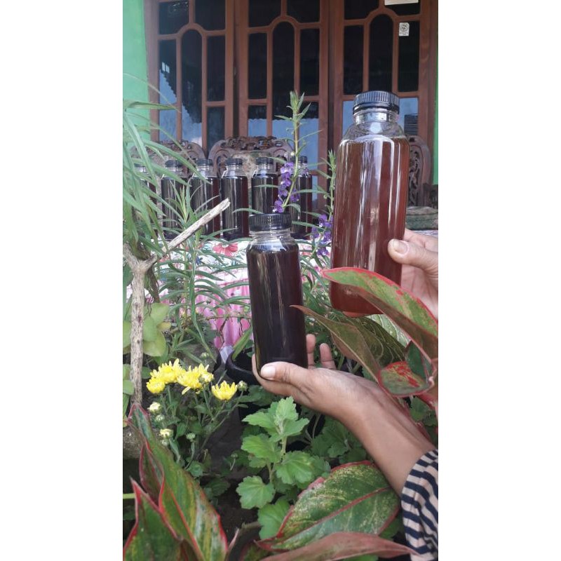 

madu asli lebah gong